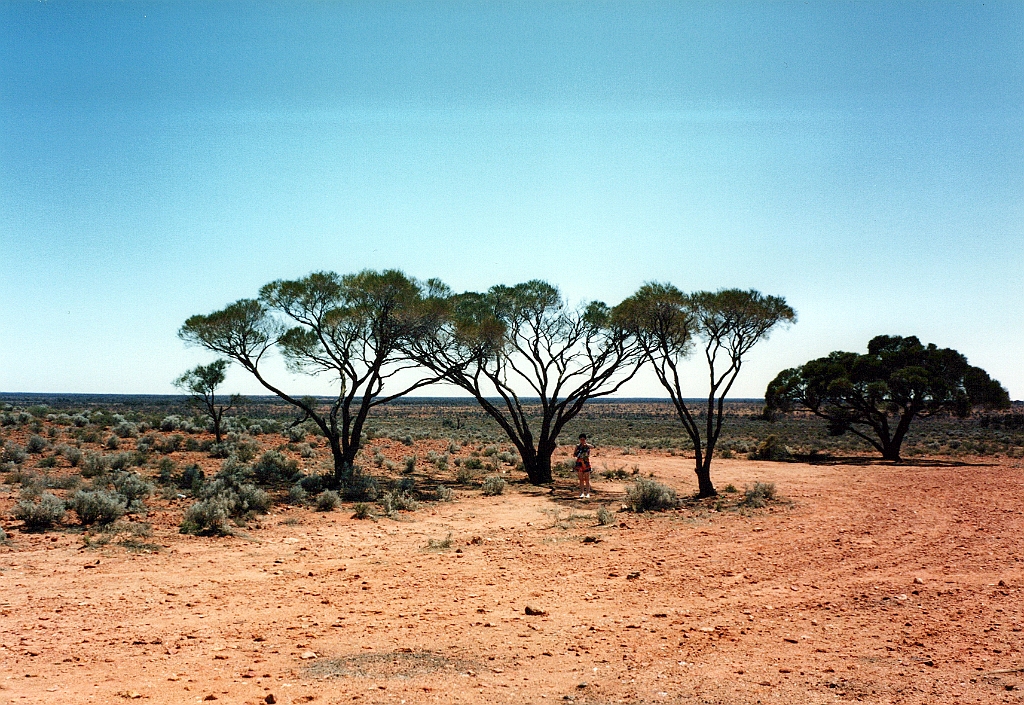 2000 - Australie 134G.jpg